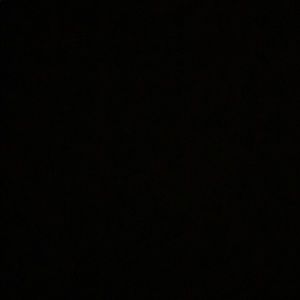 Meet your Posher, Marlene